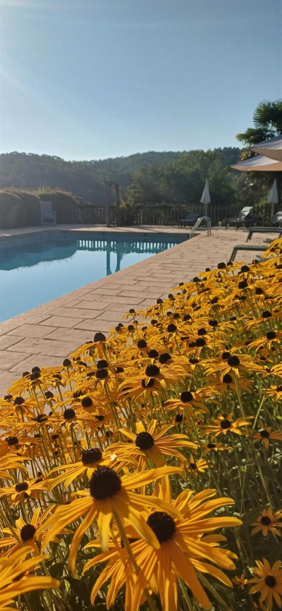 Domaine De Cournet Haut, A 17Th Century Property Set On A Calm, Idyllic Domain With Pool, Tennis, Bikes And More Les Vauries Exterior foto